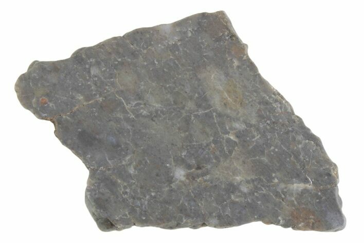 Lunar Meteorite ( g) Slice - Laayoune #381674